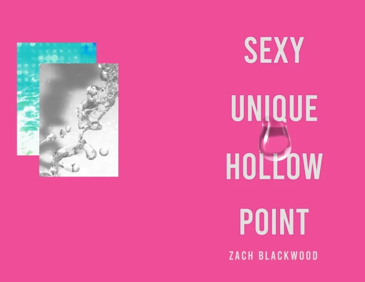 Cover of SEXY UNIQUE HOLLOW POINT by Zach Blackwood — hot pink background with two collaged photographic swatches and stacked title text.